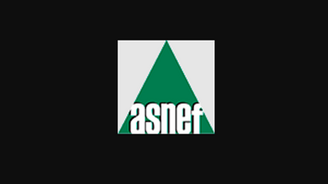 Logo de Asnef.