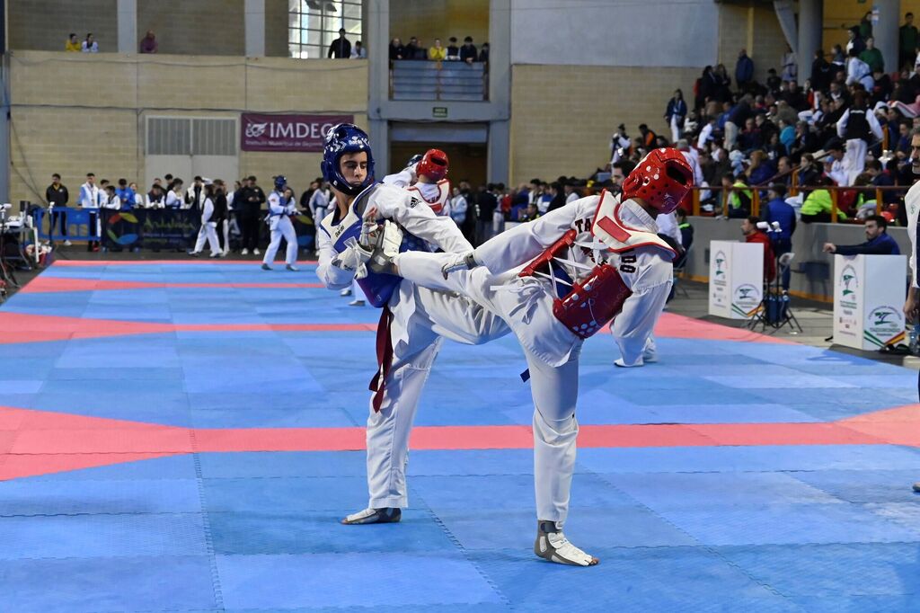 Las mejores fotos del Open Internacional de Taekwondo celebrado en C&oacute;rdoba