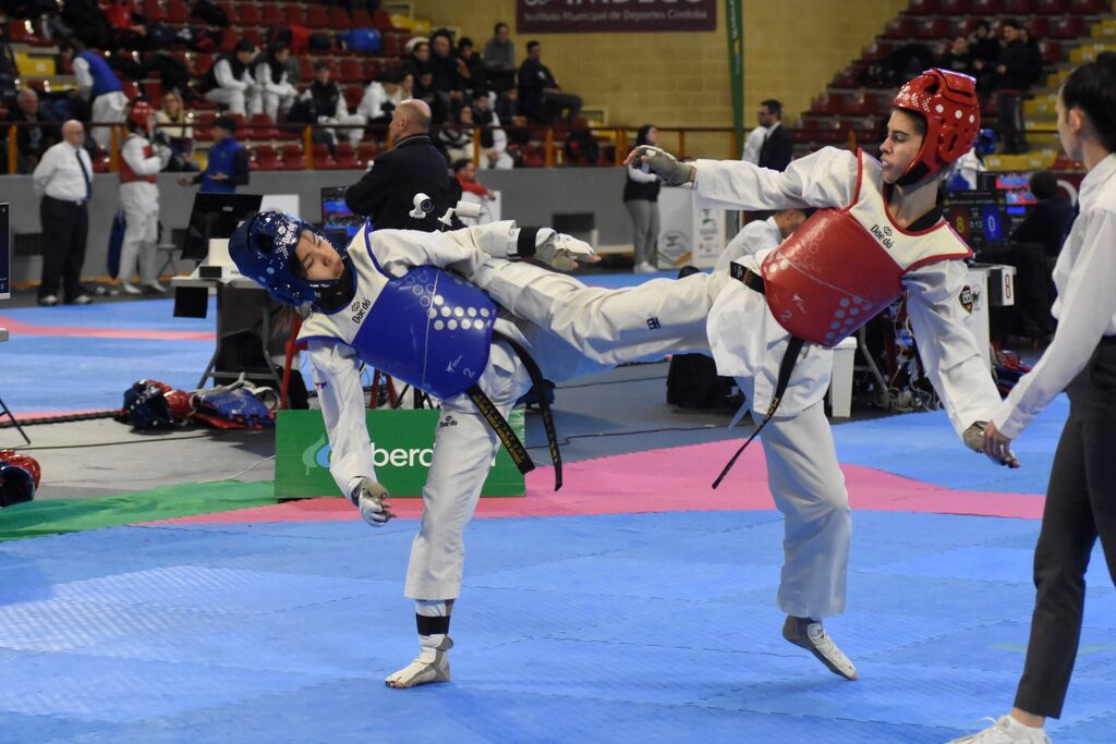 Las mejores fotos del Open Internacional de Taekwondo celebrado en C&oacute;rdoba