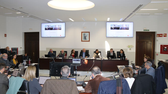 Un momento del consejo de gobierno de la Universidad de Córdoba.