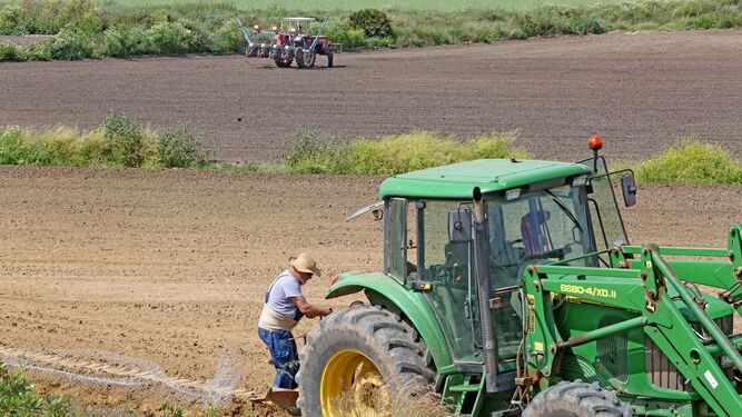 Agricultores preparan las tierras para la siembra con ayuda de tractores.