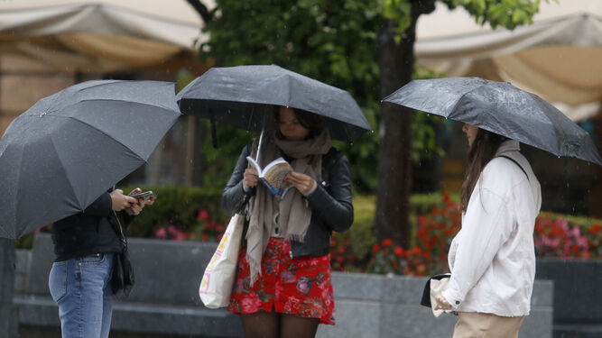 Varias personas se protegen de la lluvia en la plaza de las Tendillas.