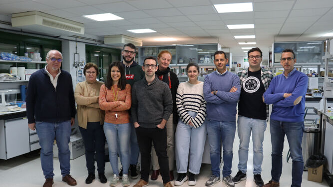 Parte del equipo investigador de la Universidad de Córdoba.