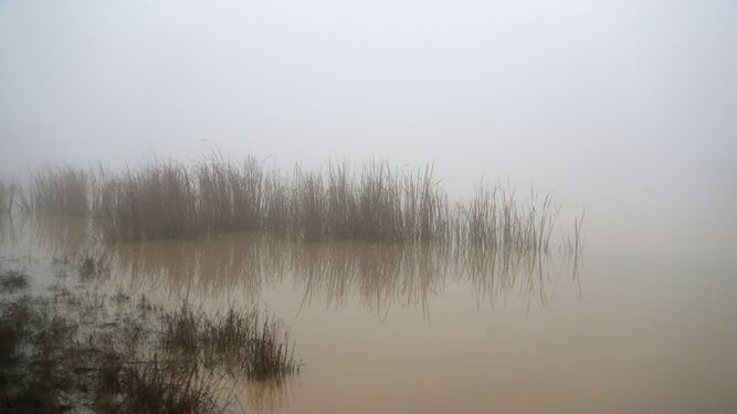 El lago en el que fallecieron los dos soldados.