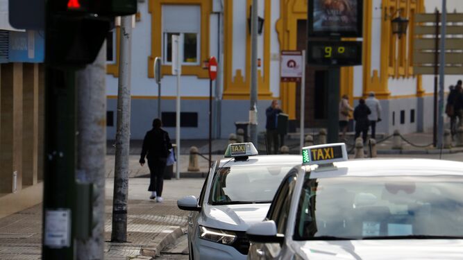 Taxis circulando en Córdoba.