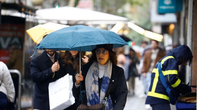 Peatones con paraguas en el centro de Córdoba.