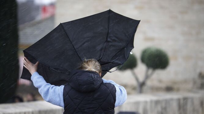 Una persona intenta recoger su paraguas ante el fuerte viento en Córdoba.