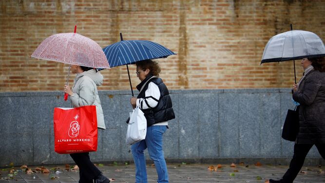 Varias personas se protegen con sus paraguas de la lluvia.