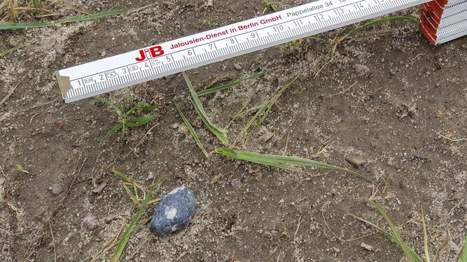 Hallados cerca de Berlín posibles fragmentos del asteroide 2024 BX1