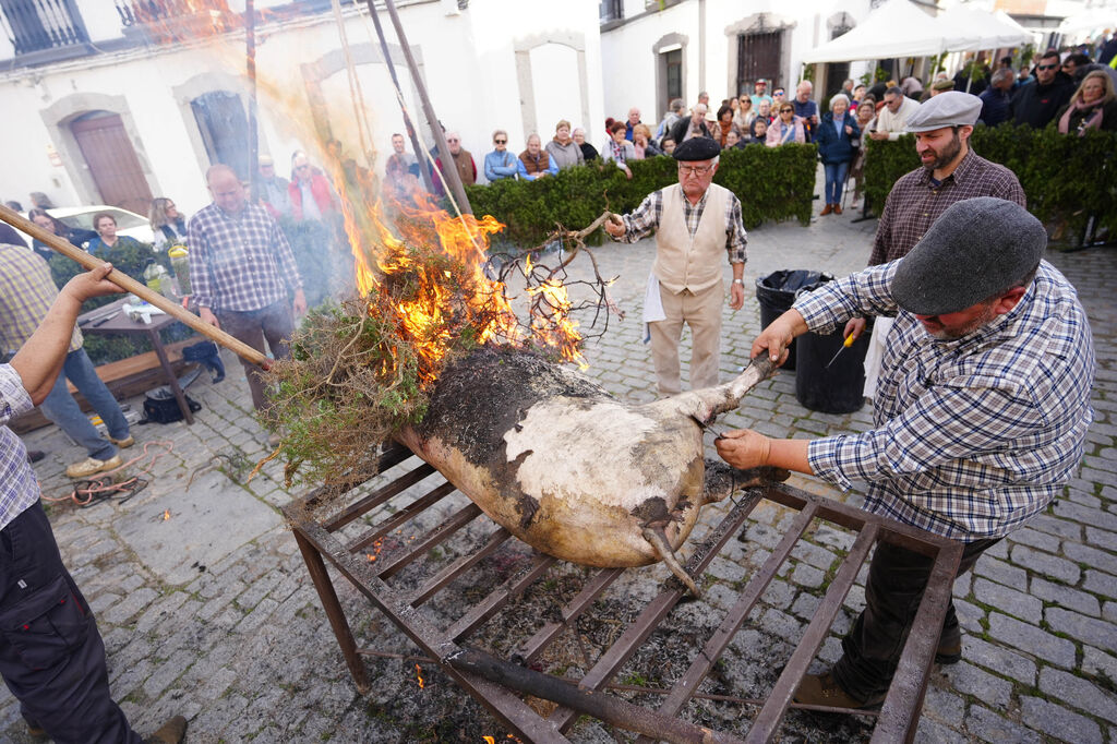 Alcaracejos celebra su Fiesta de la Matanza, en im&aacute;genes