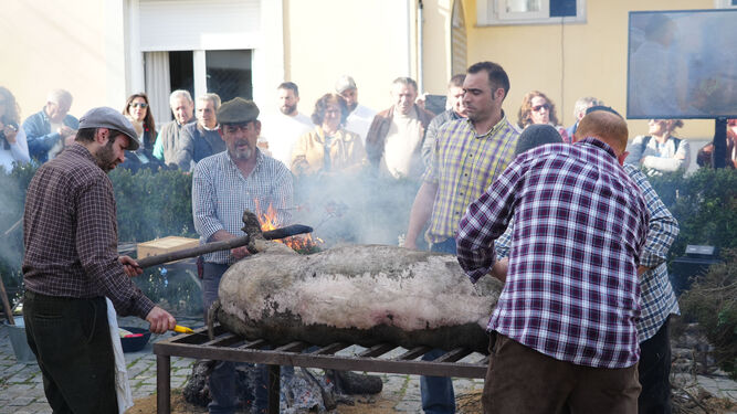 Un momento del ritual del sacrificio del cerdo en la Fiesta de la Matanza de Alcaracejos.