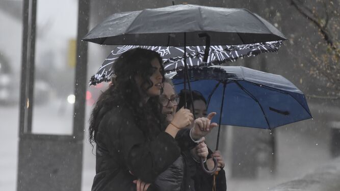 Varias personas se protegen de la lluvia este viernes en Córdoba.