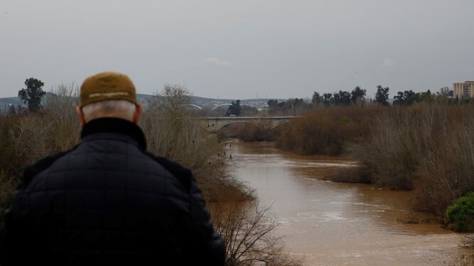 El río Guadalquivir a su paso por Córdoba y tras las últimas lluvias.