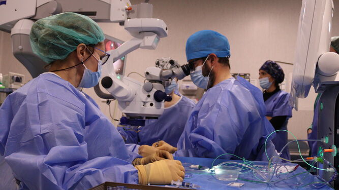 Nuevo microscopio oftalmológico para cirugía ocular y trasplante de córnea en el Reina Sofía.