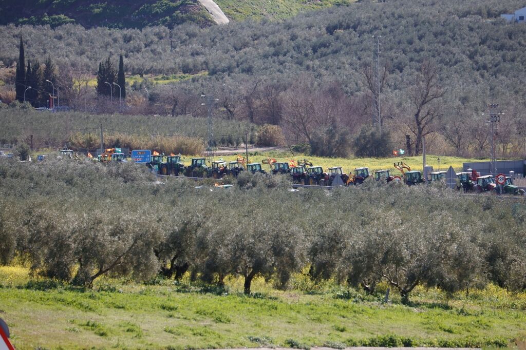 Los agricultores cortan la A-45 en Lucena, en im&aacute;genes