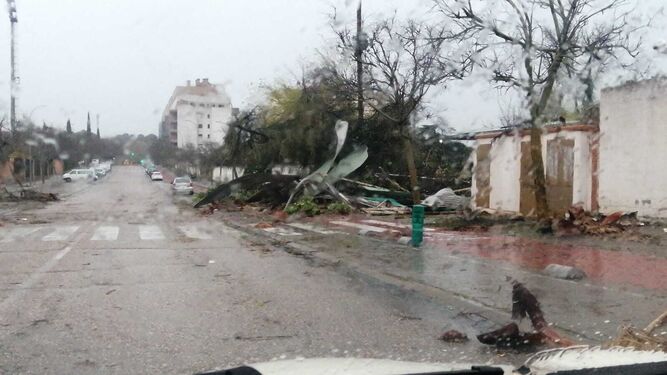 Un árbol ha caído sobre un vehículo junto al Fontanar.