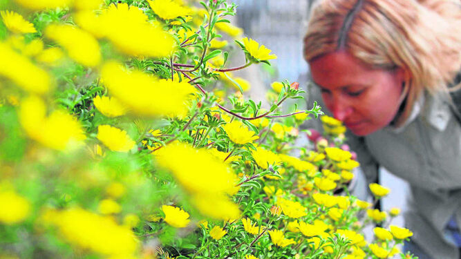 Una mujer huele unas flores.