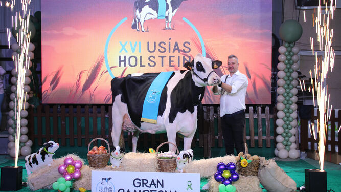 'Meridian Nerea', de la ganadería Huerta Los Tobías, se ha alzado con el título de Gran Vaca Campeona.