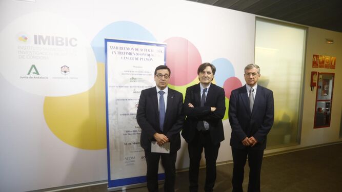 Los doctores Enrique Aranda, Mariano Provencio e Isidoro Barneto, en la reunión sobre tratamiento oncológico.