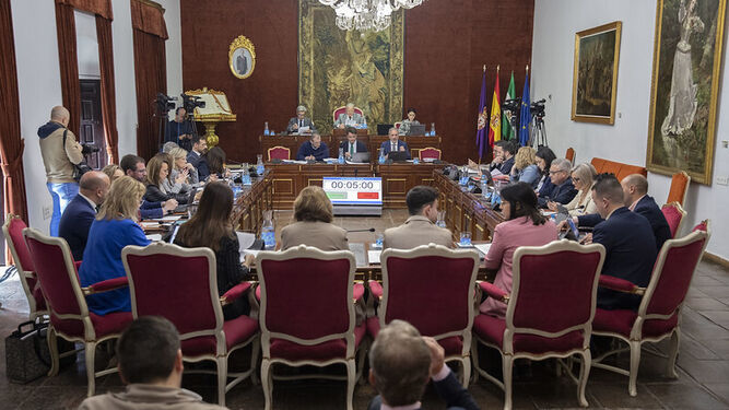 Un momento de la sesión plenaria celebrada en la Diputación de Córdoba.