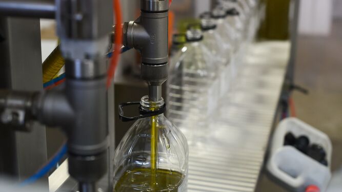 Llenado de botellas de aceite de oliva.