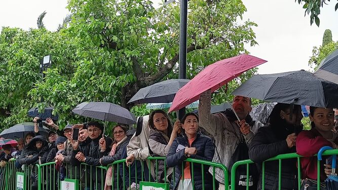 Numerosas personas esperan la salida de la Agonía en el Patio de los Naranjos.