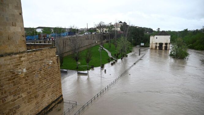 Aspecto que se presenta el caudal del río Guadalquivir tras las últimas lluvias.