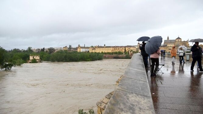 Aspecto que presentaba este domingo el río Guadalquivir a su paso por Córdoba tras las últimas lluvias.